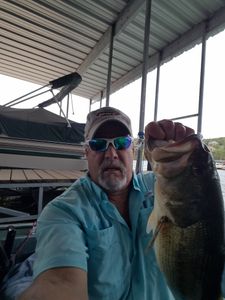 Book Your  Branson MO Fishing Guides